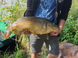 Jezioro Cyblin 2019 - 9kg