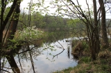 Jezioro Czarne - 2012