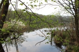 Jezioro Czarne - 2012