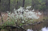 Jezioro Czarne - 2012