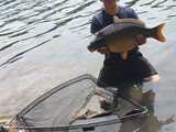 Jezioro Długie 2023 - 10,5 kg