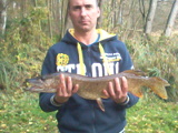 Szczupak 2,5 kg