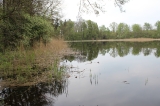Jezioro Grabowo - zdjęcie archiwalne #4