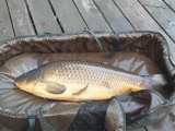 Jezioro Grabowo 2021 - 12,8 kg