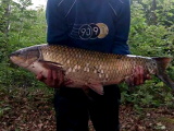 Jezioro Kupiszewo 2016 - Amur 14kg